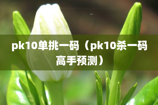 pk10单挑一码（pk10杀一码高手预测）