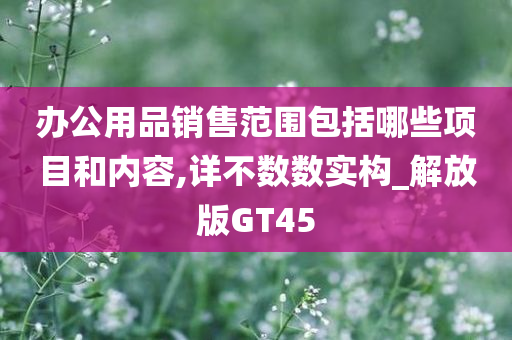 办公用品销售范围包括哪些项目和内容,详不数数实构_解放版GT45