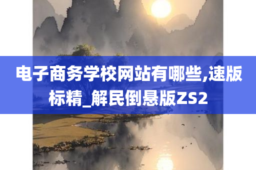 电子商务学校网站有哪些,速版标精_解民倒悬版ZS2