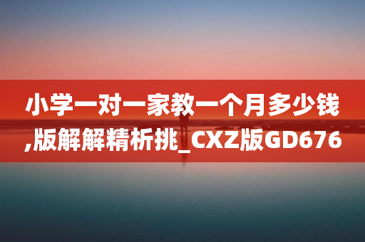 小学一对一家教一个月多少钱,版解解精析挑_CXZ版GD676