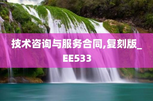 技术咨询与服务合同,复刻版_EE533