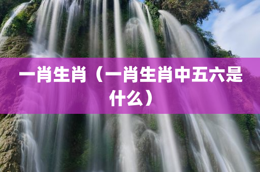 一肖生肖（一肖生肖中五六是什么）