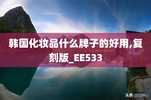 韩国化妆品什么牌子的好用,复刻版_EE533