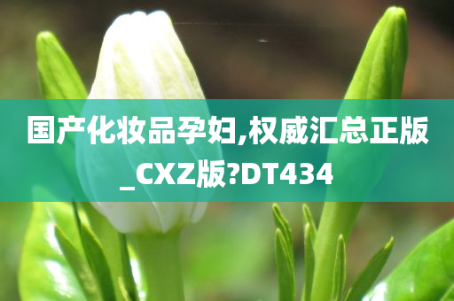 国产化妆品孕妇,权威汇总正版_CXZ版?DT434