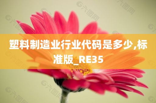 塑料制造业行业代码是多少,标准版_RE35