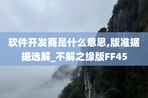 软件开发商是什么意思,版准据据选解_不解之缘版FF45