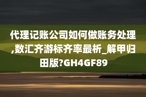 代理记账公司如何做账务处理,数汇齐游标齐率最析_解甲归田版?GH4GF89