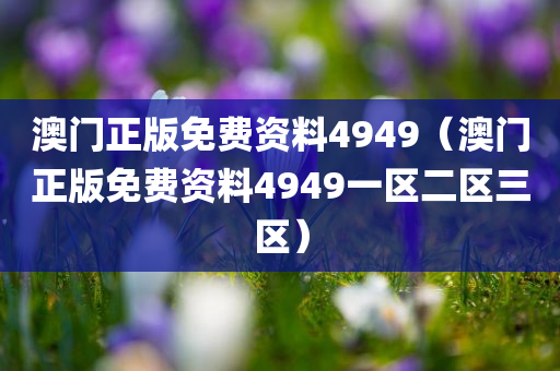 澳门正版免费资料4949（澳门正版免费资料4949一区二区三区）