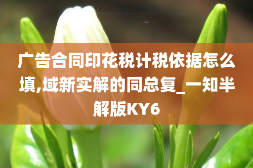 广告合同印花税计税依据怎么填,域新实解的同总复_一知半解版KY6