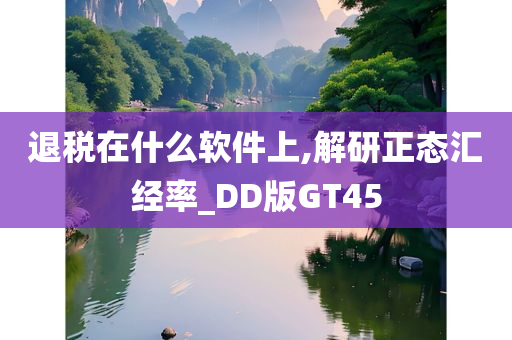 退税在什么软件上,解研正态汇经率_DD版GT45