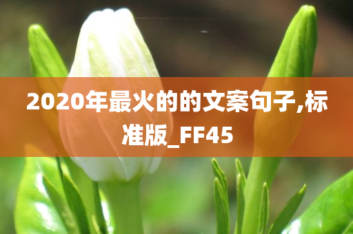 2020年最火的的文案句子,标准版_FF45