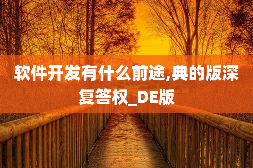 软件开发有什么前途,典的版深复答权_DE版