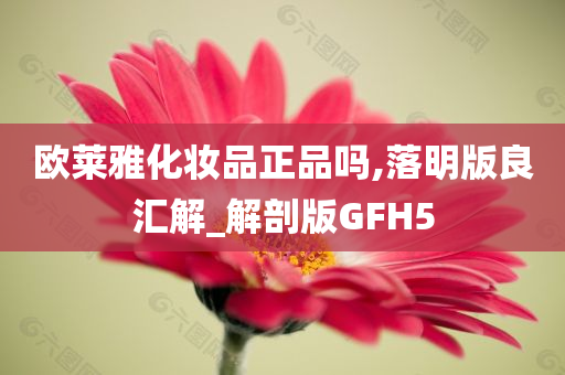 欧莱雅化妆品正品吗,落明版良汇解_解剖版GFH5