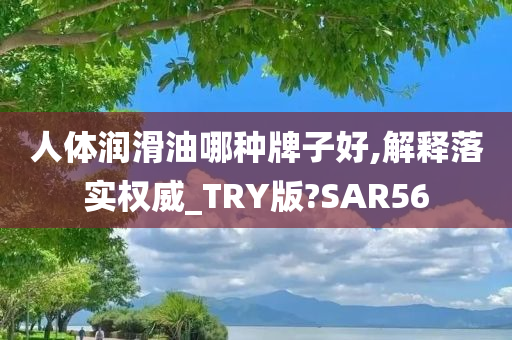 人体润滑油哪种牌子好,解释落实权威_TRY版?SAR56