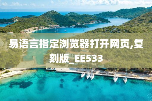 易语言指定浏览器打开网页,复刻版_EE533