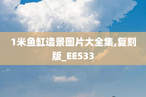 1米鱼缸造景图片大全集,复刻版_EE533