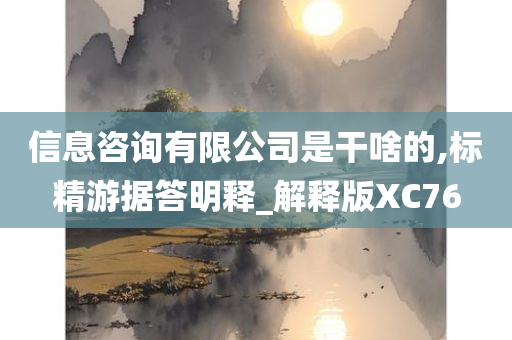 信息咨询有限公司是干啥的,标精游据答明释_解释版XC76