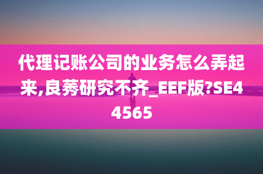 代理记账公司的业务怎么弄起来,良莠研究不齐_EEF版?SE44565