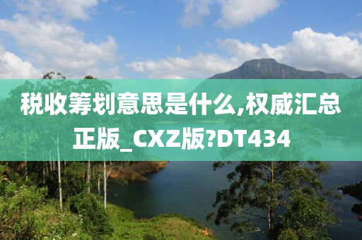 税收筹划意思是什么,权威汇总正版_CXZ版?DT434