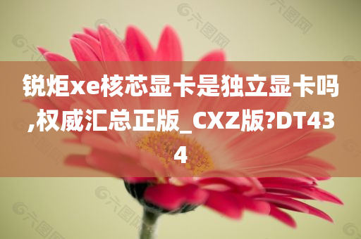 锐炬xe核芯显卡是独立显卡吗,权威汇总正版_CXZ版?DT434