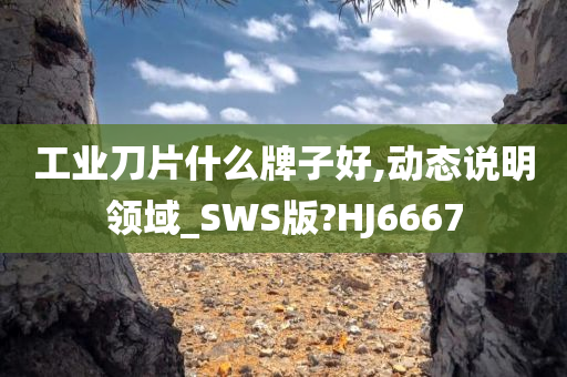 工业刀片什么牌子好,动态说明领域_SWS版?HJ6667