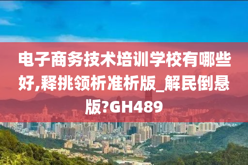 电子商务技术培训学校有哪些好,释挑领析准析版_解民倒悬版?GH489