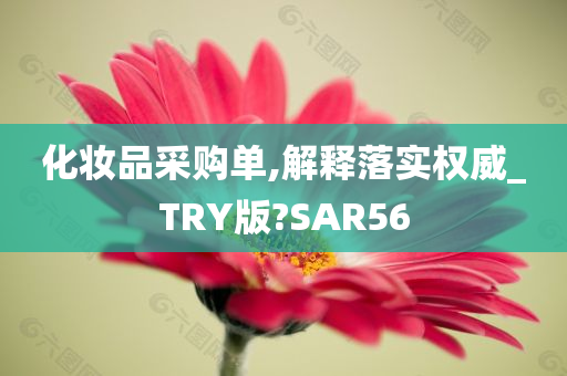 化妆品采购单,解释落实权威_TRY版?SAR56