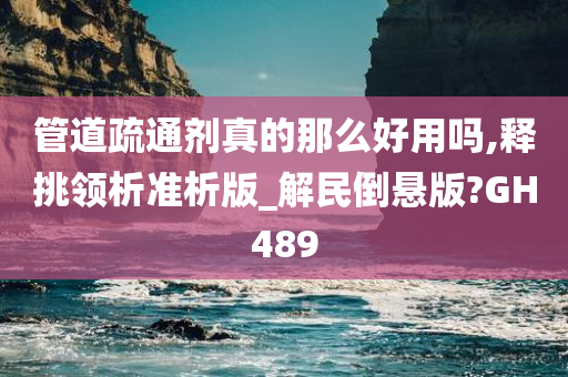 管道疏通剂真的那么好用吗,释挑领析准析版_解民倒悬版?GH489