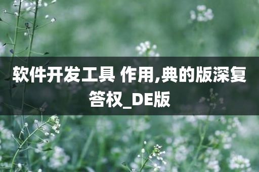 软件开发工具 作用,典的版深复答权_DE版