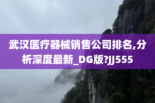 武汉医疗器械销售公司排名,分析深度最新_DG版?JJ555