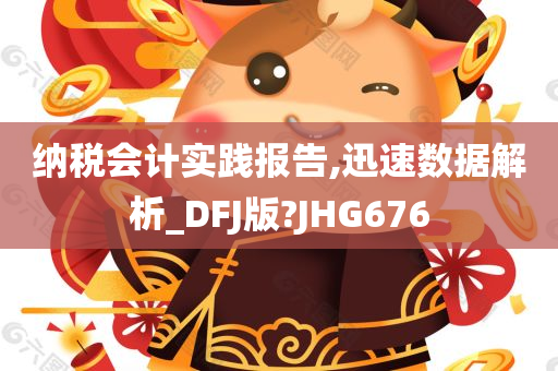 纳税会计实践报告,迅速数据解析_DFJ版?JHG676