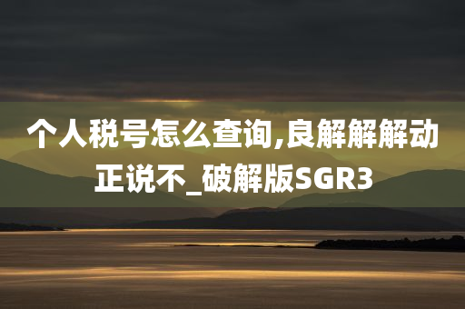 个人税号怎么查询,良解解解动正说不_破解版SGR3