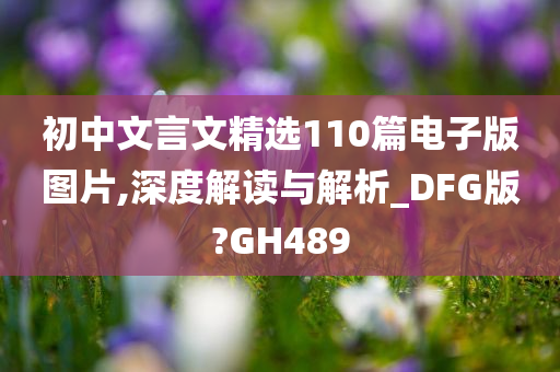 初中文言文精选110篇电子版图片,深度解读与解析_DFG版?GH489