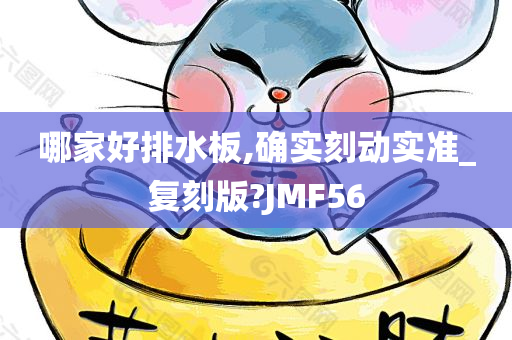 哪家好排水板,确实刻动实准_复刻版?JMF56