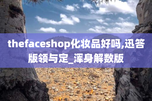 thefaceshop化妆品好吗,迅答版领与定_浑身解数版