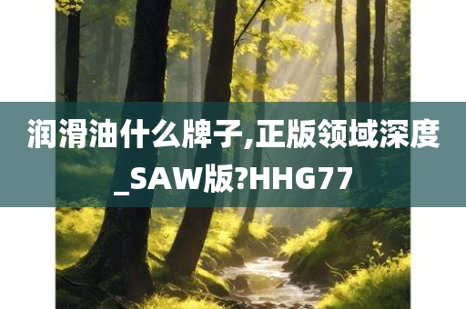 润滑油什么牌子,正版领域深度_SAW版?HHG77