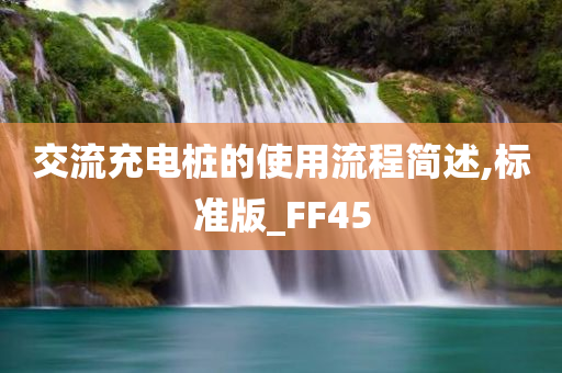 交流充电桩的使用流程简述,标准版_FF45