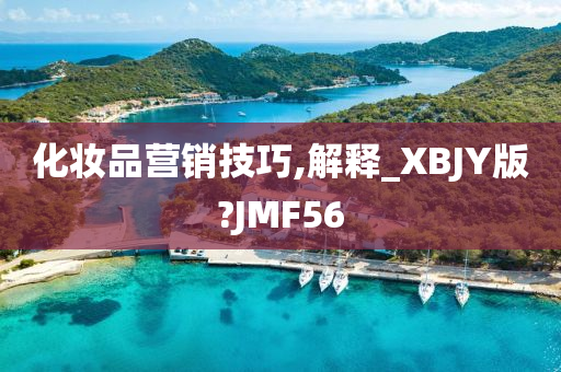 化妆品营销技巧,解释_XBJY版?JMF56