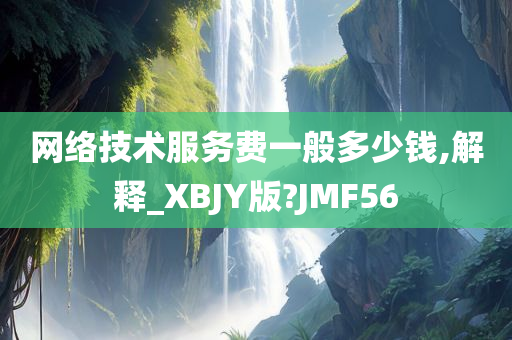 网络技术服务费一般多少钱,解释_XBJY版?JMF56