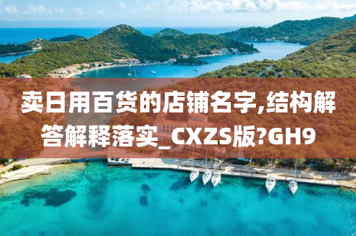 卖日用百货的店铺名字,结构解答解释落实_CXZS版?GH9