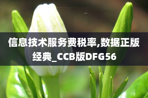 信息技术服务费税率,数据正版经典_CCB版DFG56