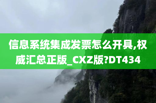 信息系统集成发票怎么开具,权威汇总正版_CXZ版?DT434