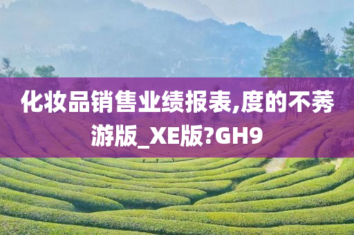 化妆品销售业绩报表,度的不莠游版_XE版?GH9