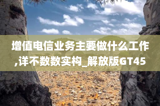 增值电信业务主要做什么工作,详不数数实构_解放版GT45