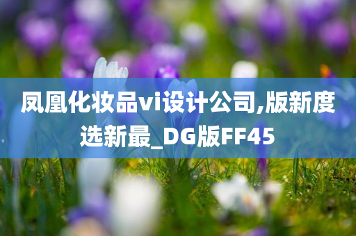 凤凰化妆品vi设计公司,版新度选新最_DG版FF45