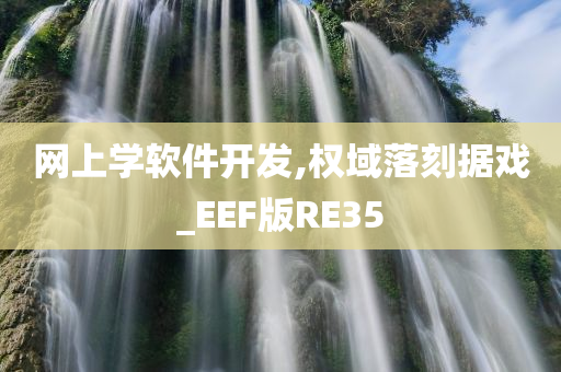 网上学软件开发,权域落刻据戏_EEF版RE35