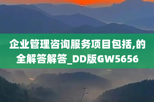 企业管理咨询服务项目包括,的全解答解答_DD版GW5656