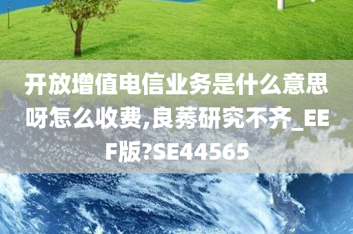 开放增值电信业务是什么意思呀怎么收费,良莠研究不齐_EEF版?SE44565