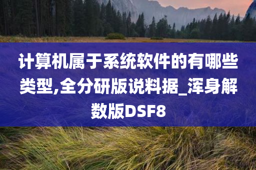 计算机属于系统软件的有哪些类型,全分研版说料据_浑身解数版DSF8