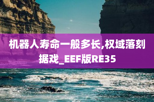 机器人寿命一般多长,权域落刻据戏_EEF版RE35